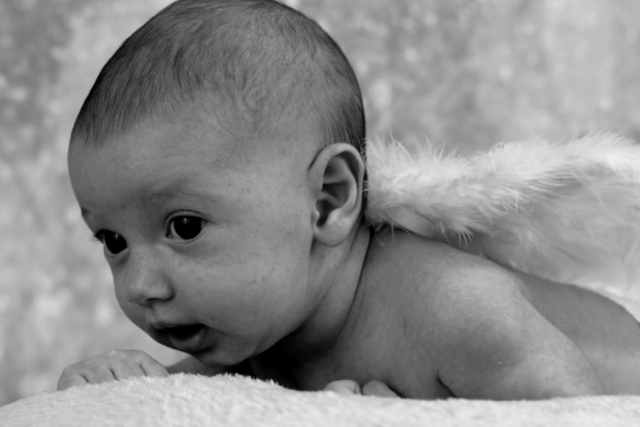 bébé accessoire aile d'ange