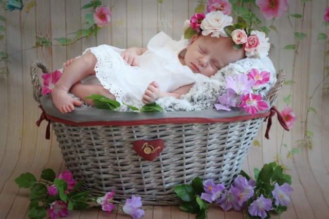 bébé décor fleur