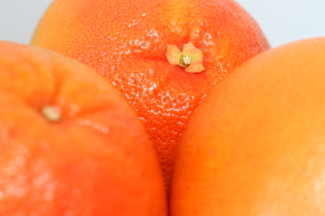 primeur orange pomelos